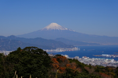 日本平からの富士山