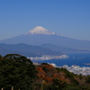 日本平からの富士山