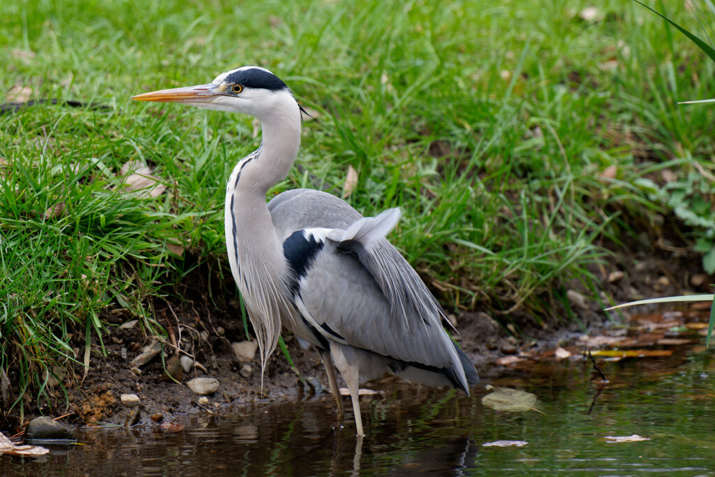 DSC00189_DxO