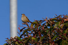 DSC00200_DxO