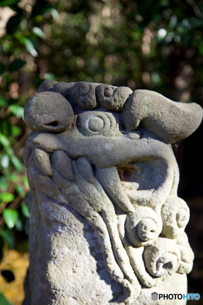 門島神社_狛犬