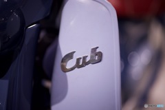 Super Cub C100