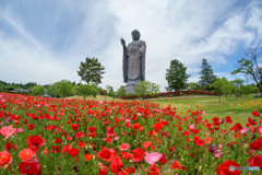 けしの花咲く極楽浄土