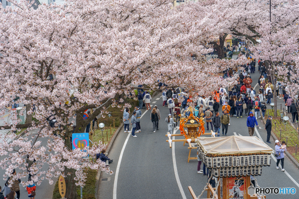 祭り