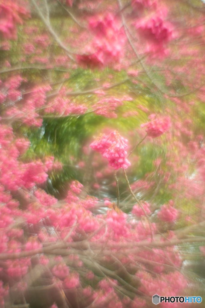 ザワザワ森