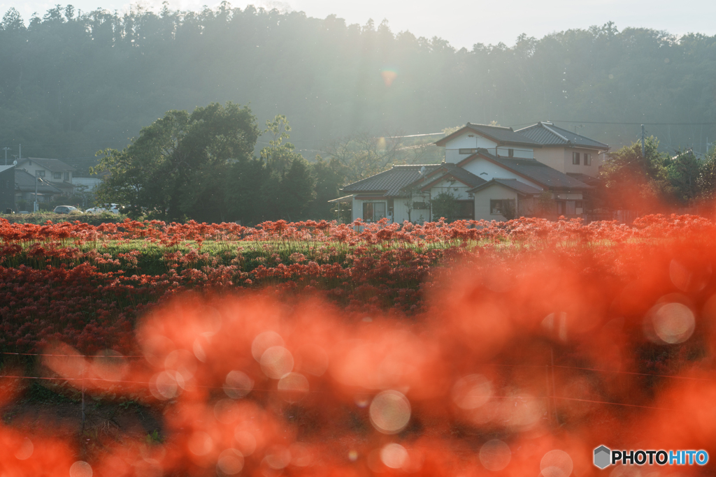 記憶の風景