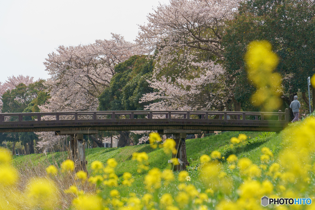 春の一頁
