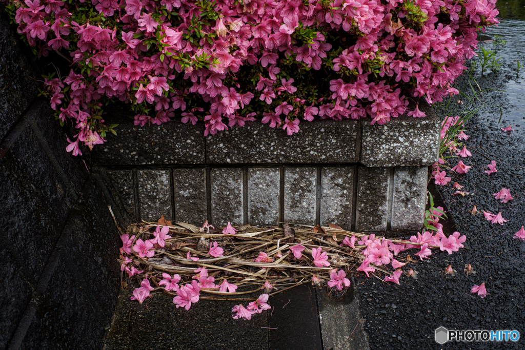 路端の美