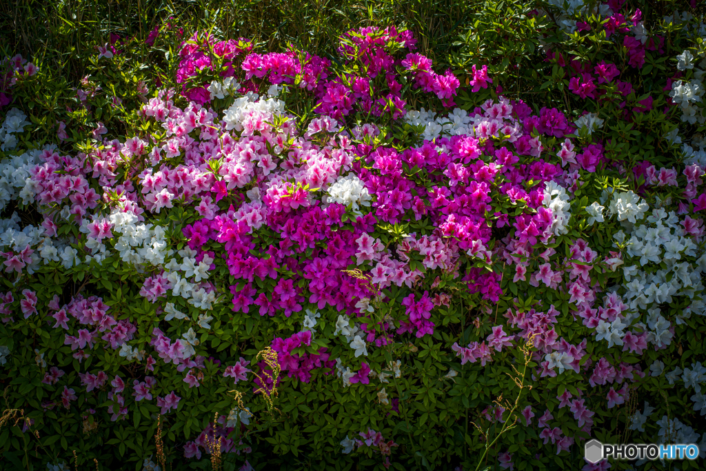 地上の芸術