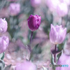 Ourworld