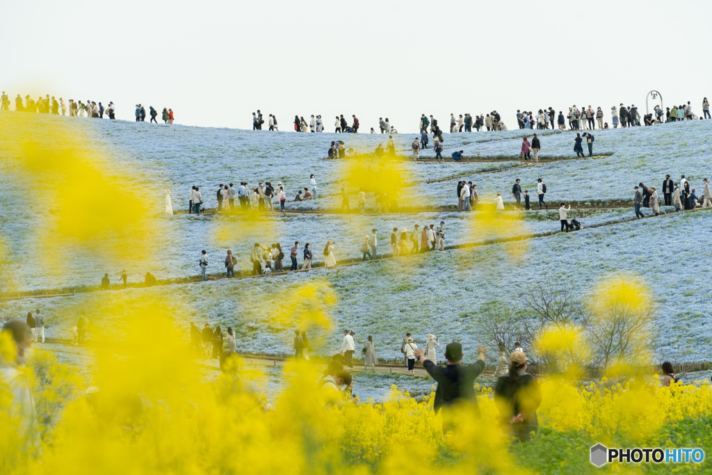 待ちに待った春‼︎