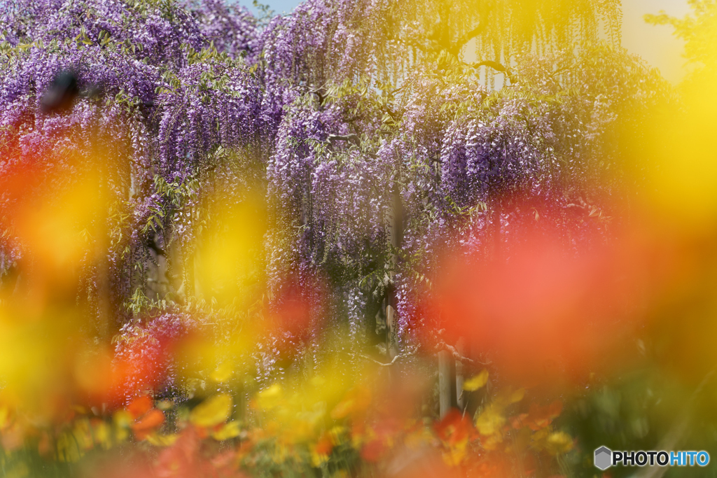 Spring art