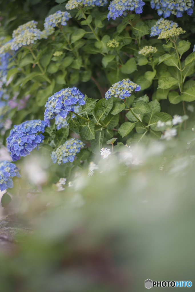路端の芸術