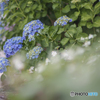 路端の芸術