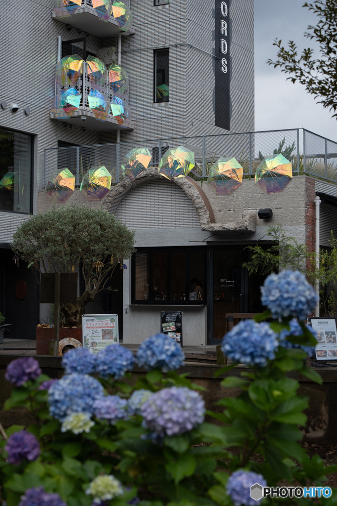 ハレマチ①