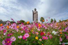 極楽浄土①