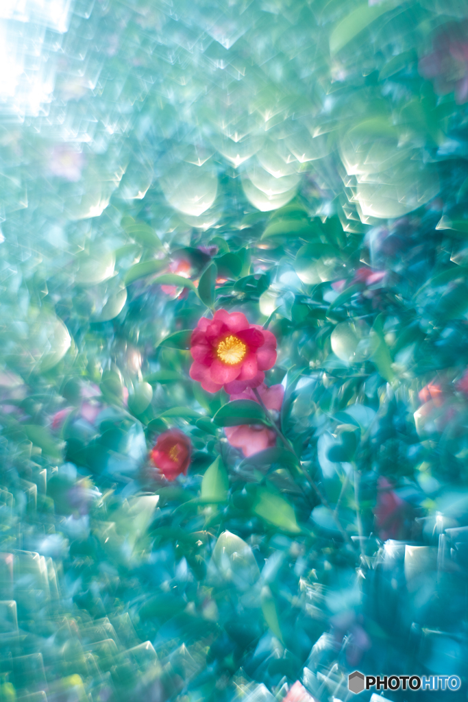 幻想世界
