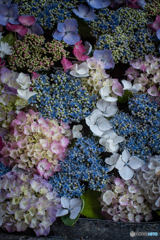 花手水①