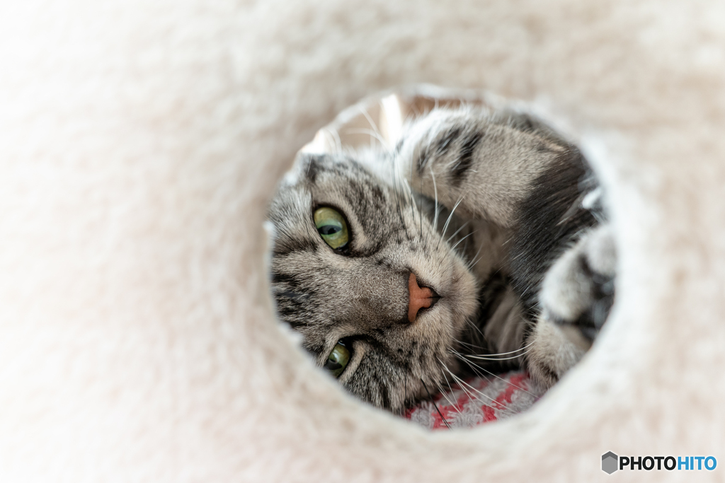 In the hole