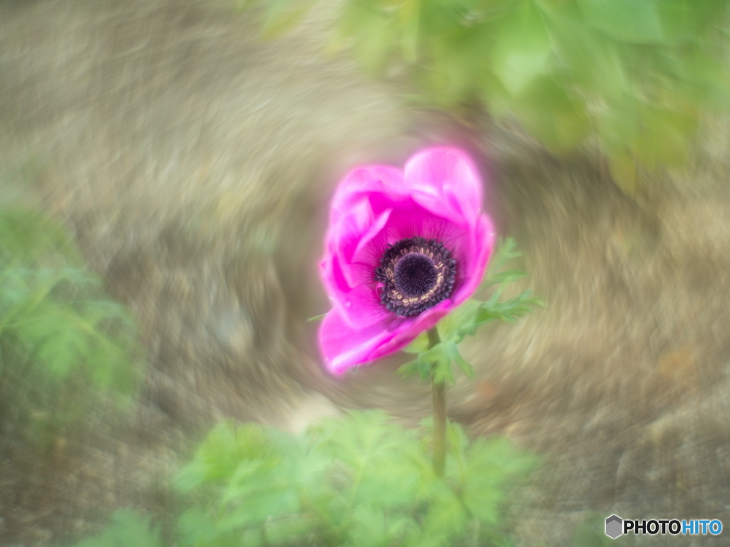 Typhoons eye