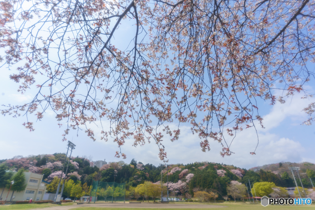 山里の春