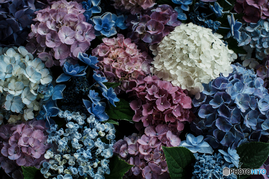 花手水