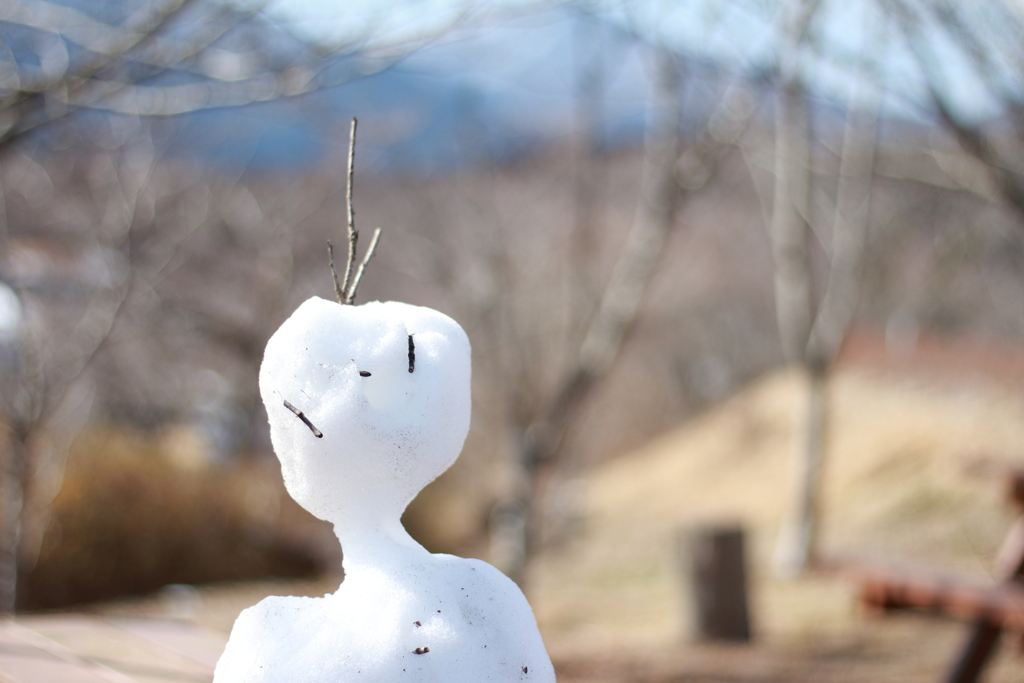 雪の名残の宇宙人
