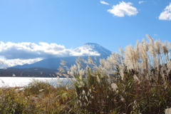 富士山とすすき