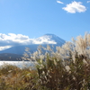 富士山とすすき