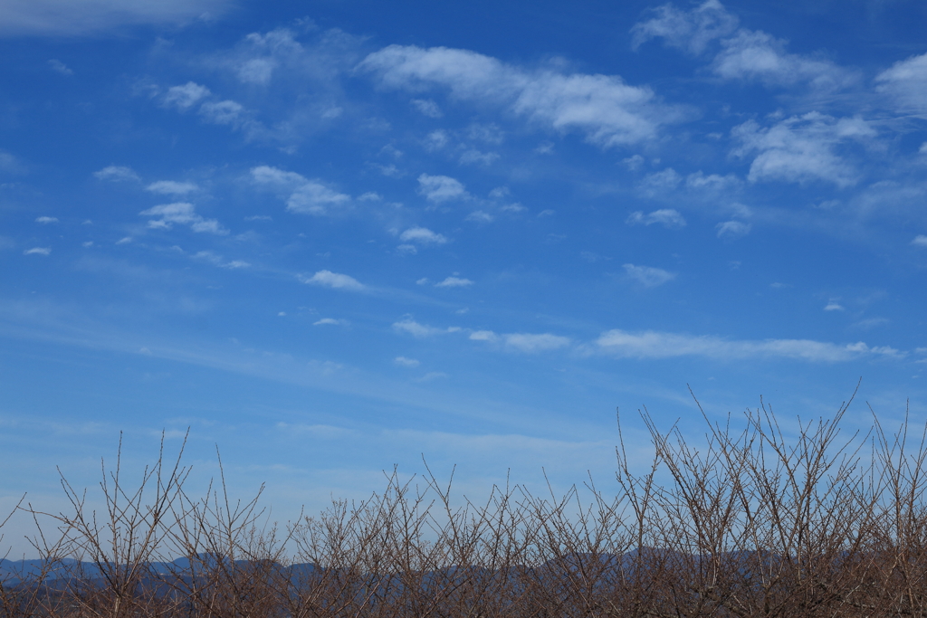 青空と雲