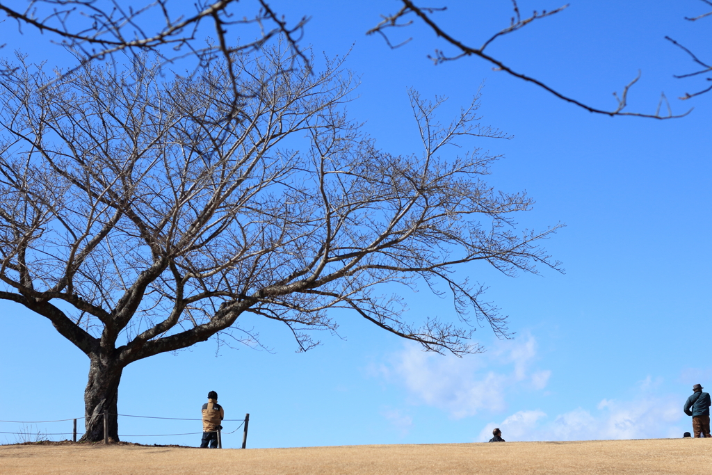 いい天気