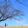いい天気