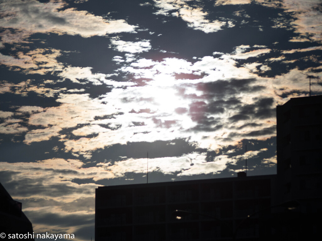 夏日の夕方