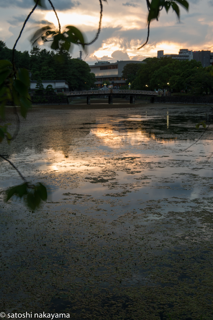 お濠の夕暮れ