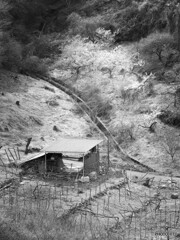 物置小屋