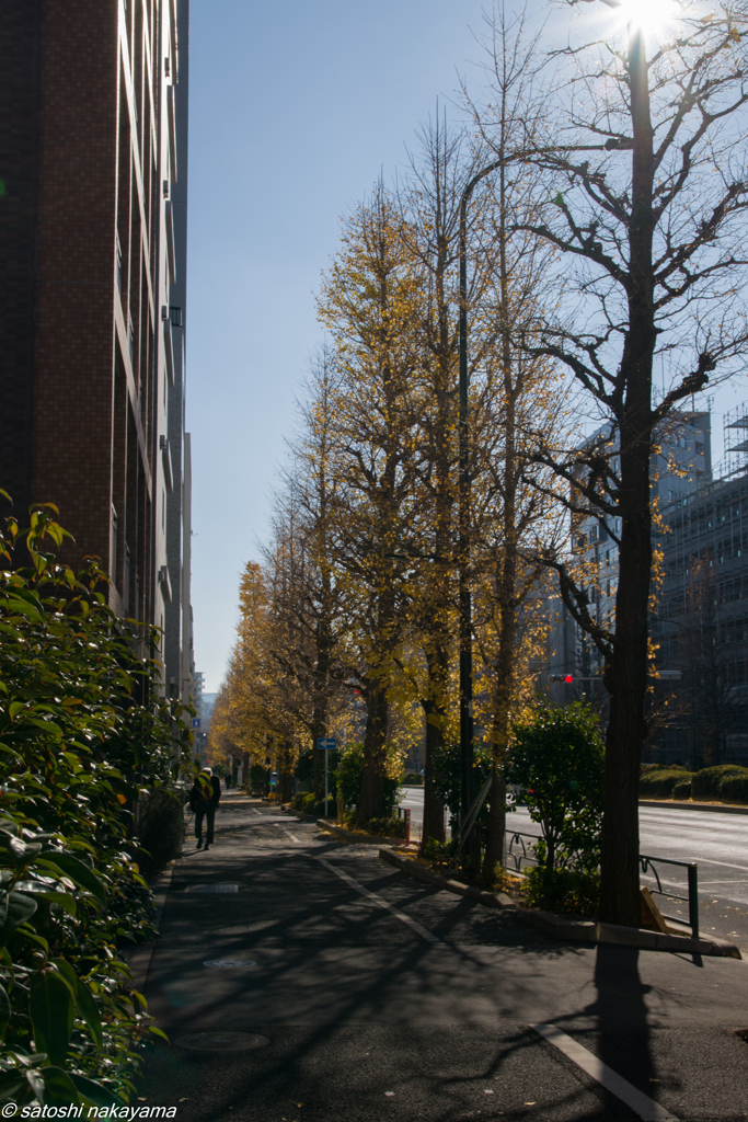 冬晴れの日
