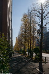 冬晴れの日