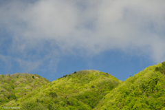 新緑を纏ったお山