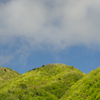 新緑を纏ったお山