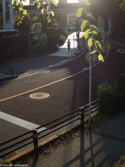 酷暑の六月