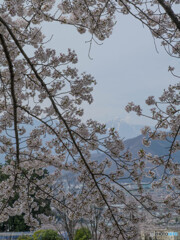 甲斐駒ヶ岳遠望