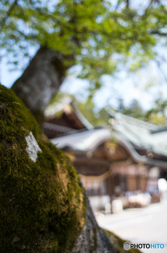 筑波山神社