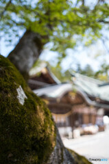 筑波山神社