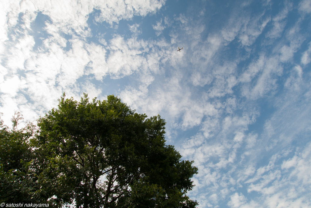 秋空