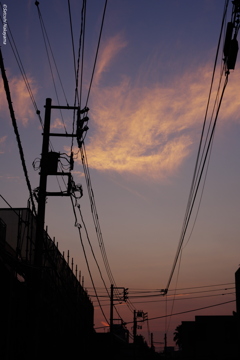 残暑の夕暮れ