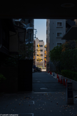 トンネルの先の銀杏