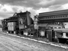 荒川沿いの工場