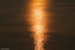 夕陽