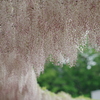 ふんわり