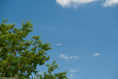 夏空